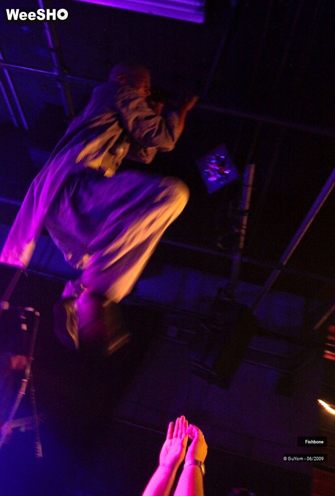 3/41 photos du spectacle Fishbone Ambiance