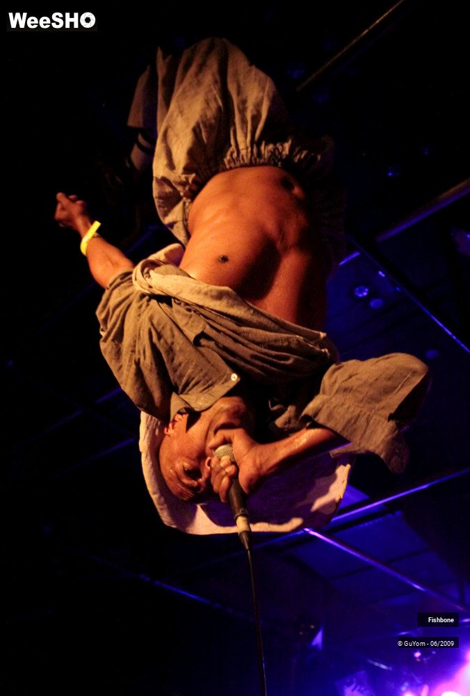 4/41 photos du spectacle Fishbone Ambiance