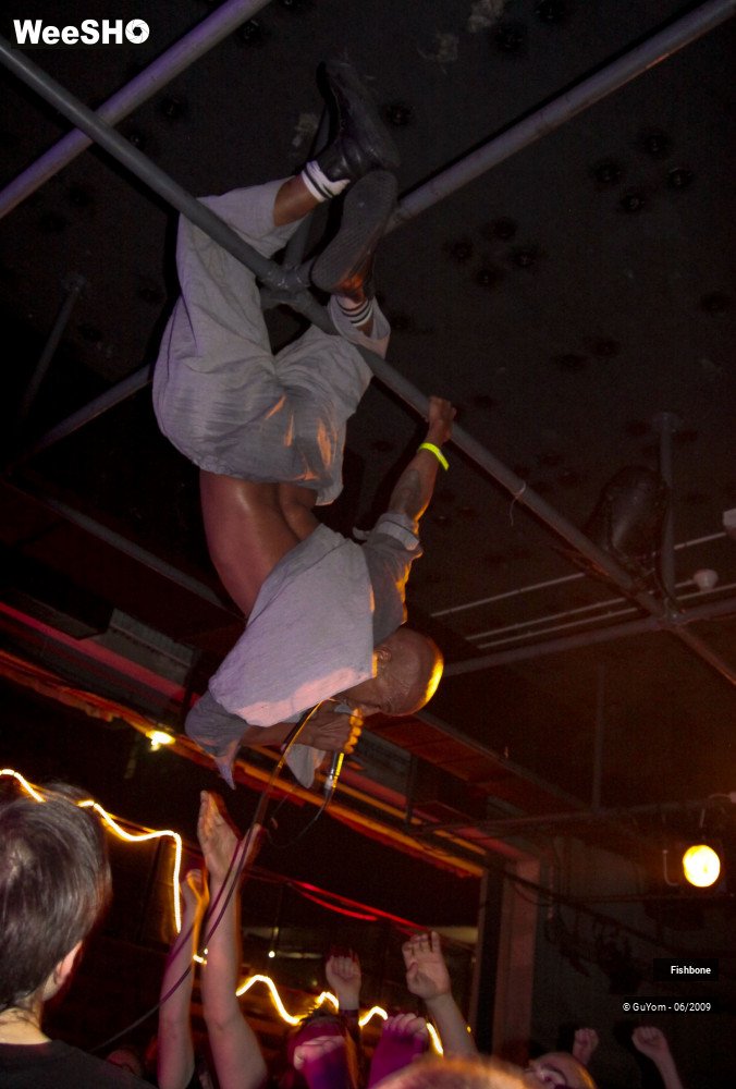 6/41 photos du spectacle Fishbone Ambiance