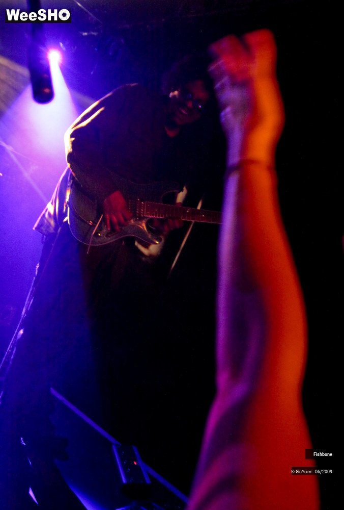 7/41 photos du spectacle Fishbone Ambiance