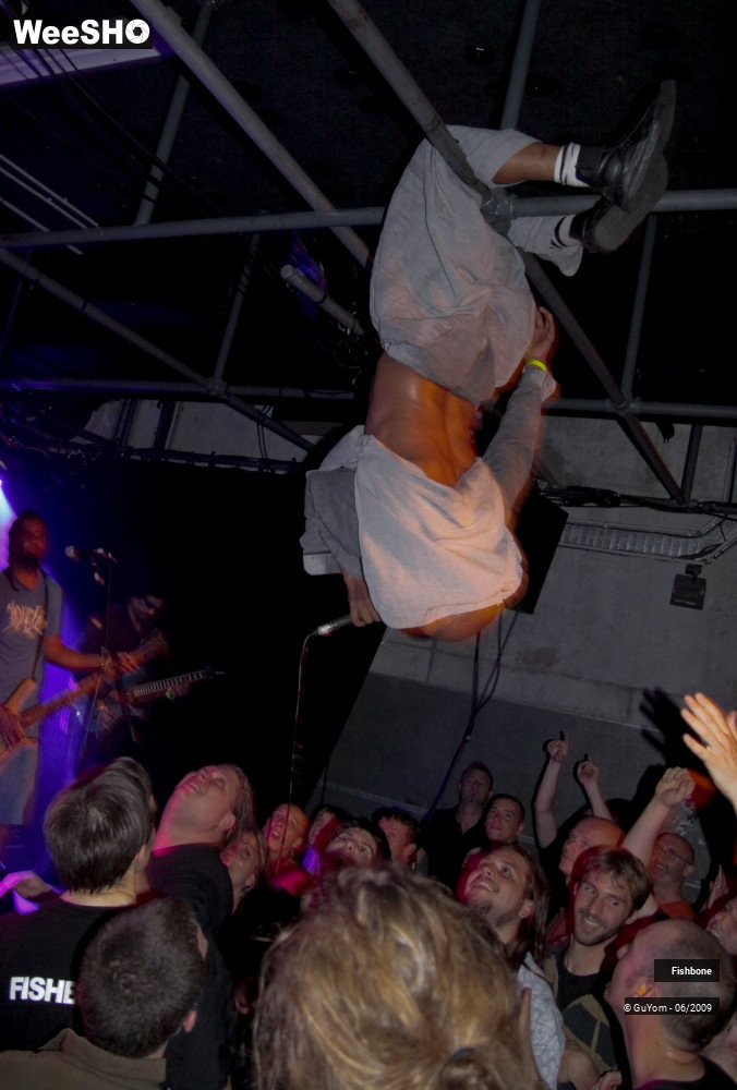 8/41 photos du spectacle Fishbone Ambiance