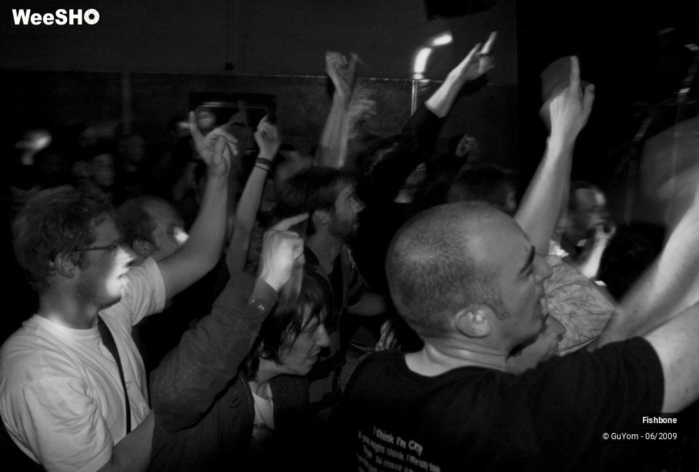 10/41 photos du spectacle Fishbone Ambiance