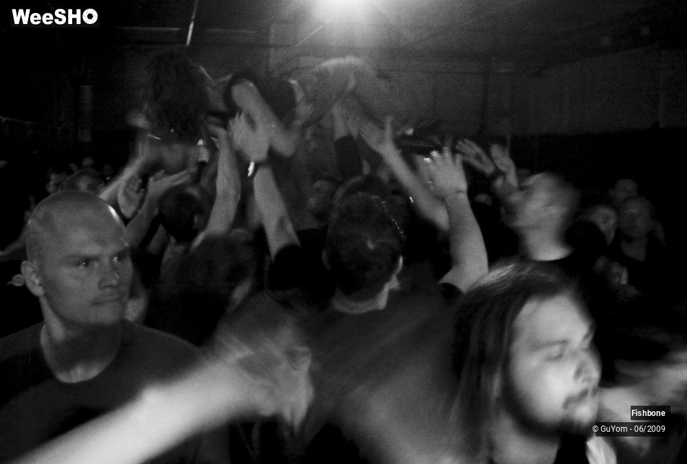 11/41 photos du spectacle Fishbone Ambiance