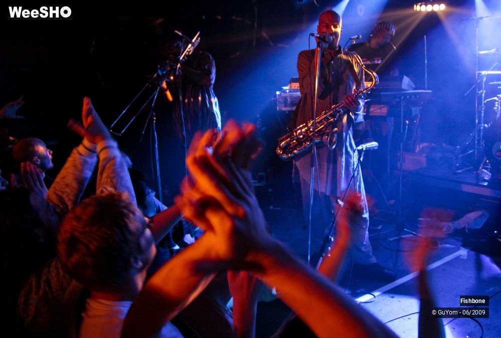 12/41 photos du spectacle Fishbone Ambiance