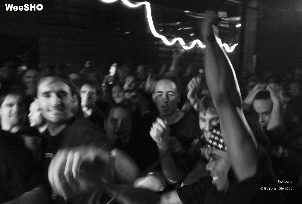 14/41 photos du spectacle Fishbone Ambiance