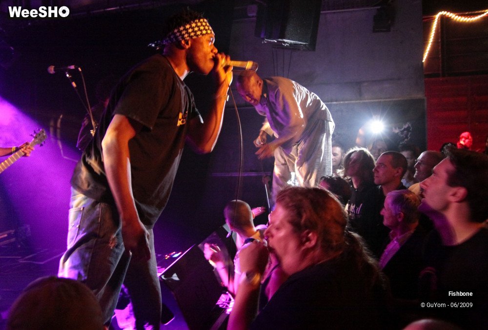 16/41 photos du spectacle Fishbone Ambiance