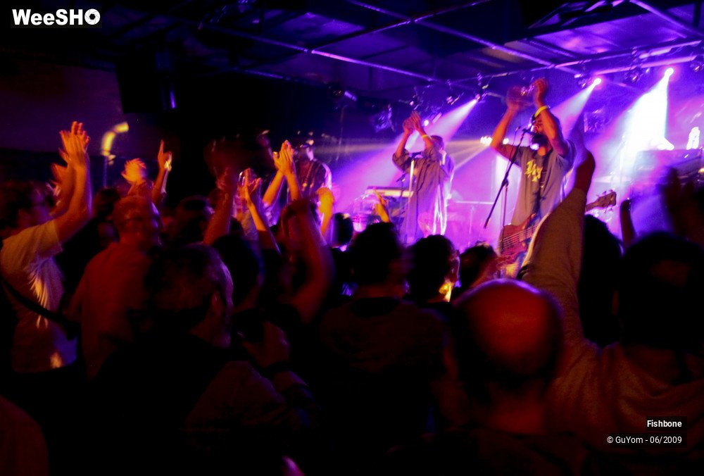 17/41 photos du spectacle Fishbone Ambiance