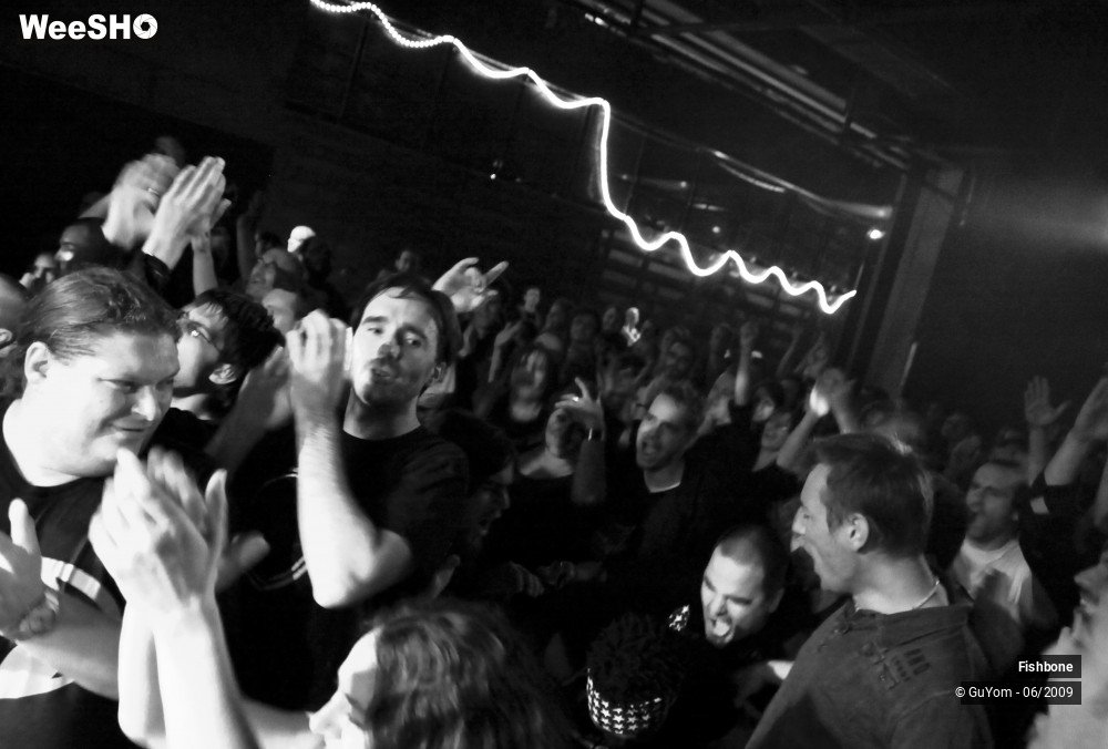 19/41 photos du spectacle Fishbone Ambiance