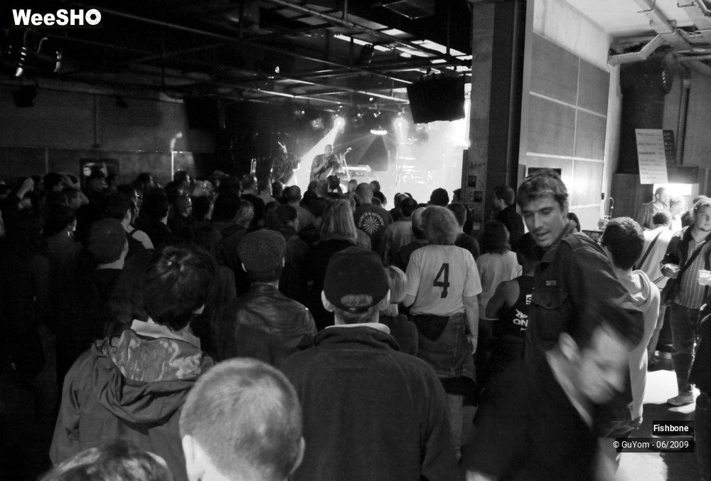 21/41 photos du spectacle Fishbone Ambiance