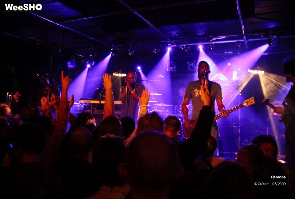 23/41 photos du spectacle Fishbone Ambiance