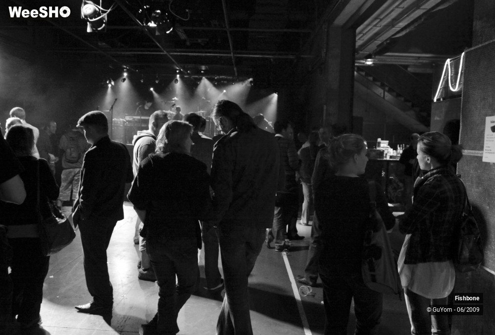 24/41 photos du spectacle Fishbone Ambiance