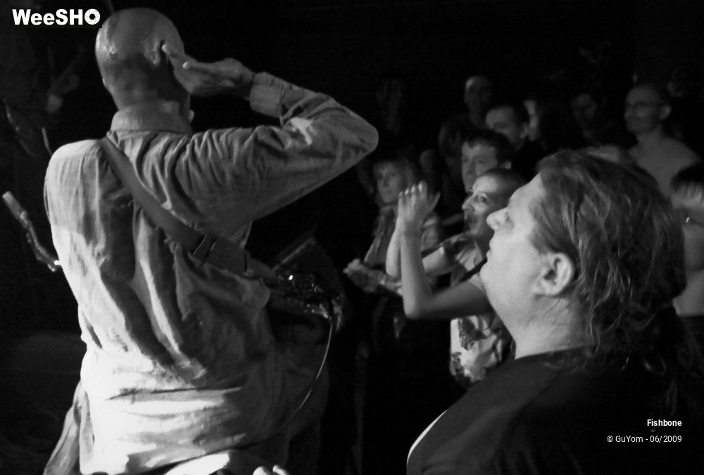 25/41 photos du spectacle Fishbone Ambiance