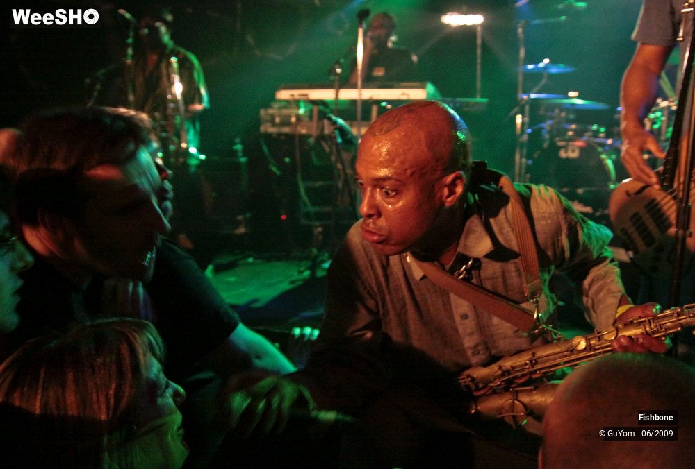 26/41 photos du spectacle Fishbone Ambiance