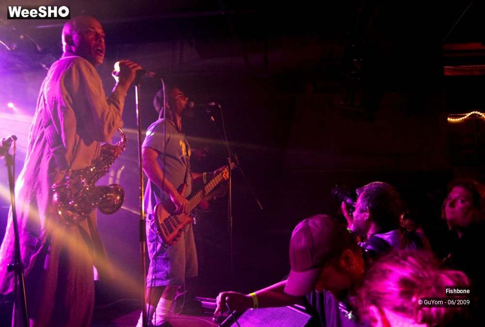 28/41 photos du spectacle Fishbone Ambiance