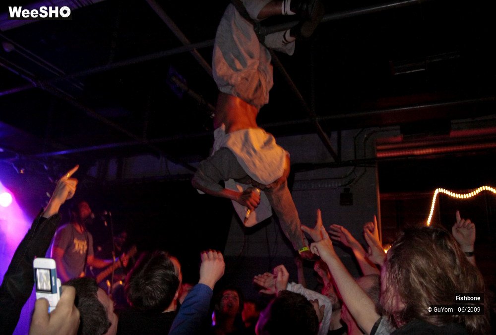 29/41 photos du spectacle Fishbone Ambiance