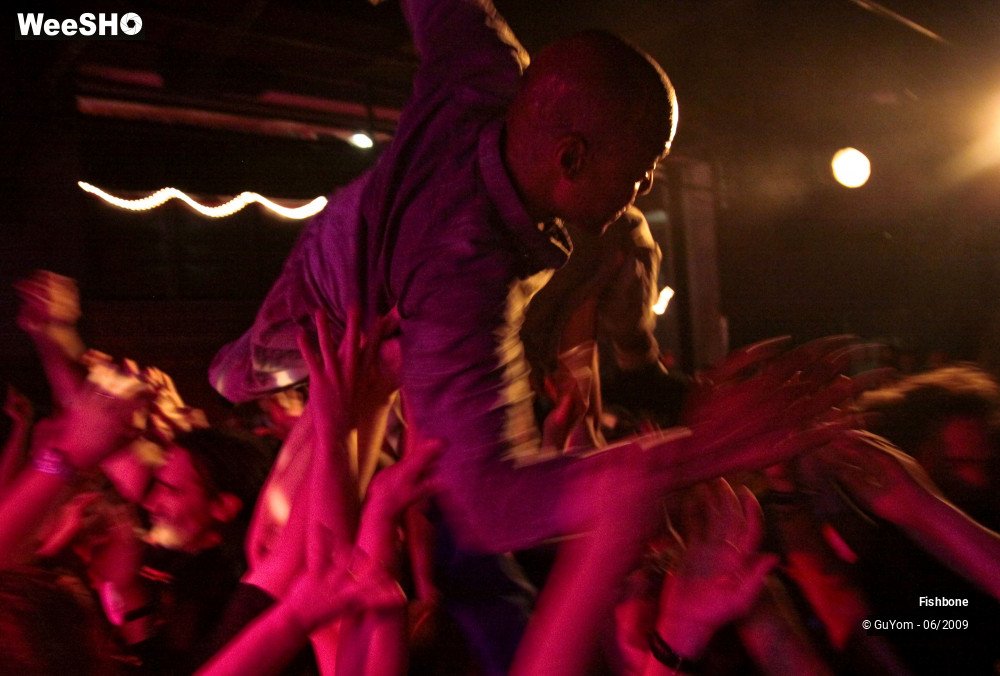 30/41 photos du spectacle Fishbone Ambiance