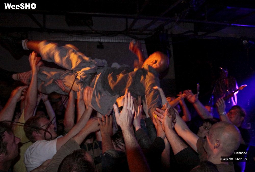 31/41 photos du spectacle Fishbone Ambiance