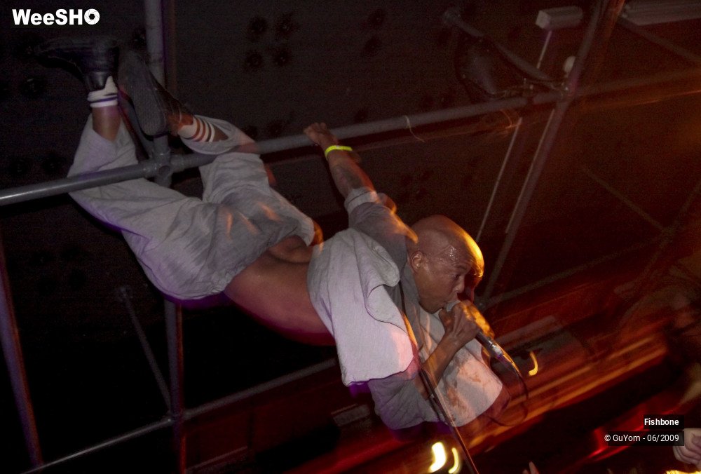 32/41 photos du spectacle Fishbone Ambiance