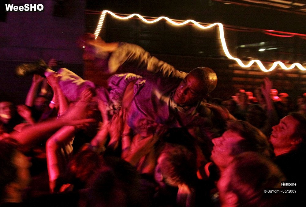 33/41 photos du spectacle Fishbone Ambiance