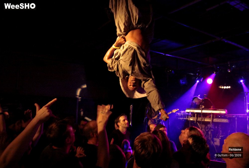 34/41 photos du spectacle Fishbone Ambiance