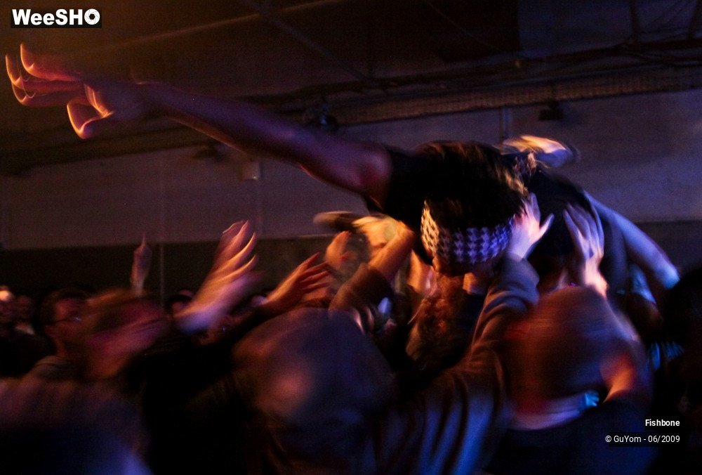 35/41 photos du spectacle Fishbone Ambiance