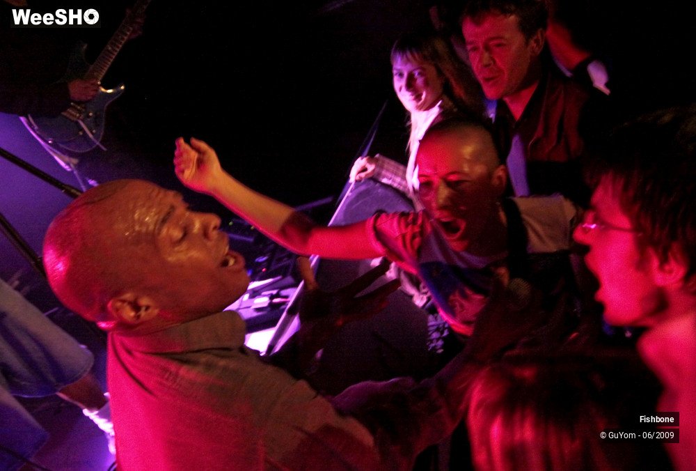37/41 photos du spectacle Fishbone Ambiance