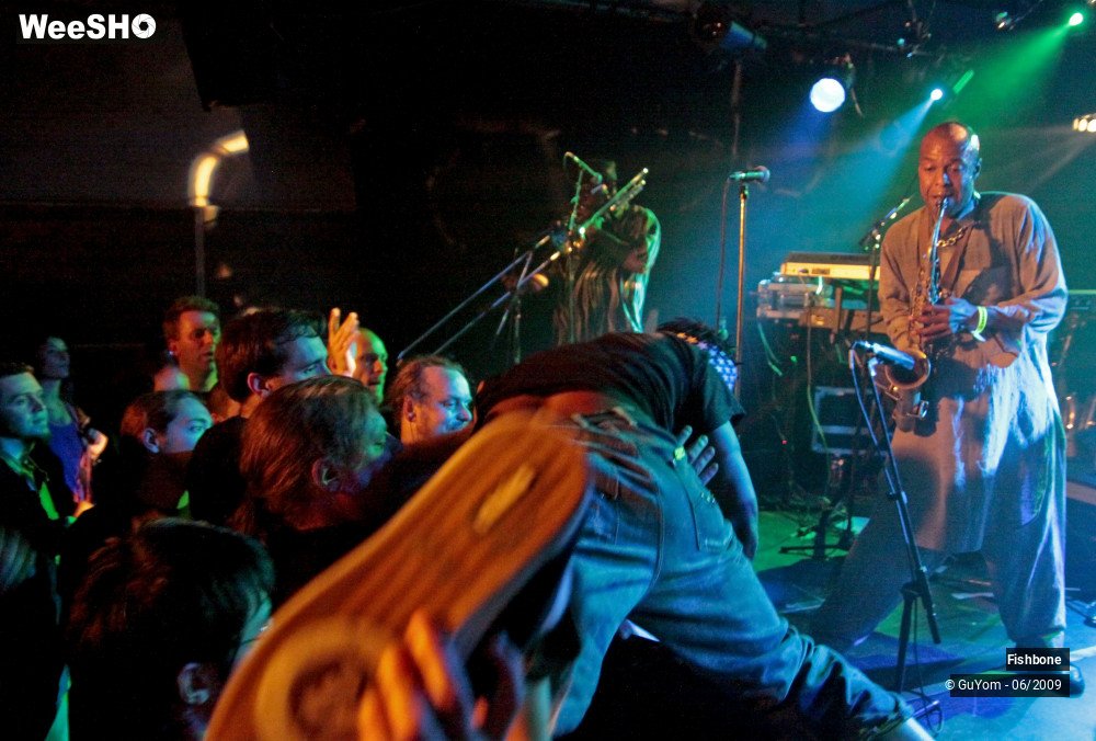 38/41 photos du spectacle Fishbone Ambiance