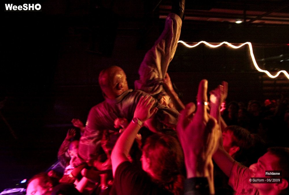 39/41 photos du spectacle Fishbone Ambiance