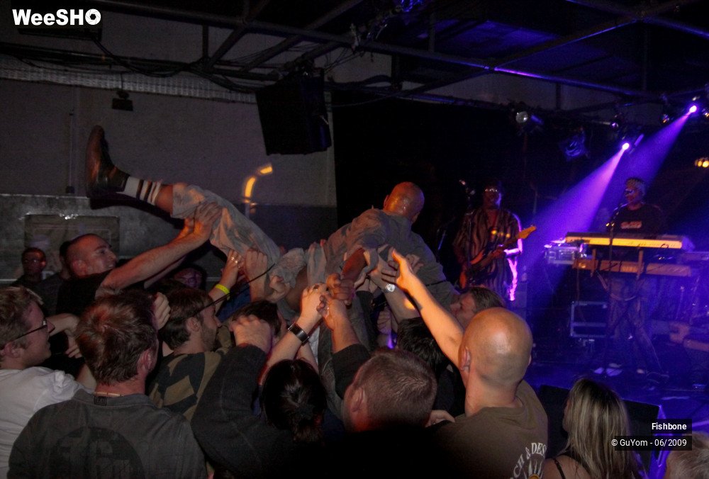 40/41 photos du spectacle Fishbone Ambiance