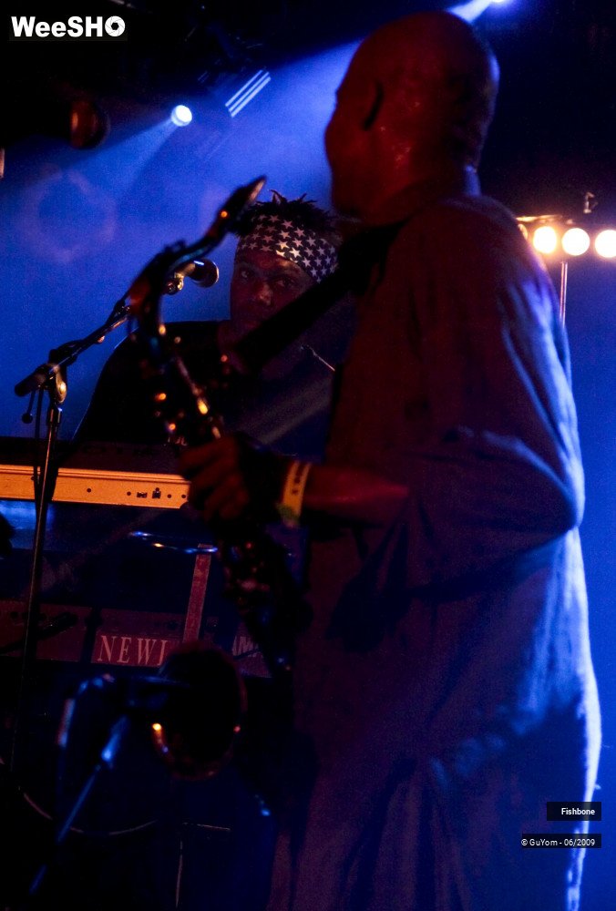 10/50 photos du spectacle Fishbone