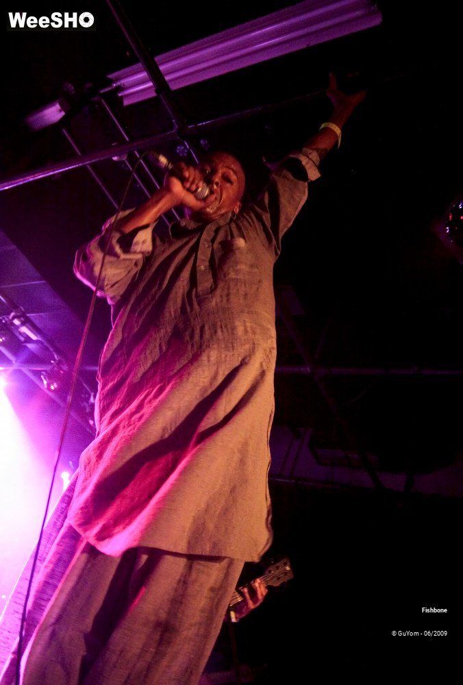 13/50 photos du spectacle Fishbone