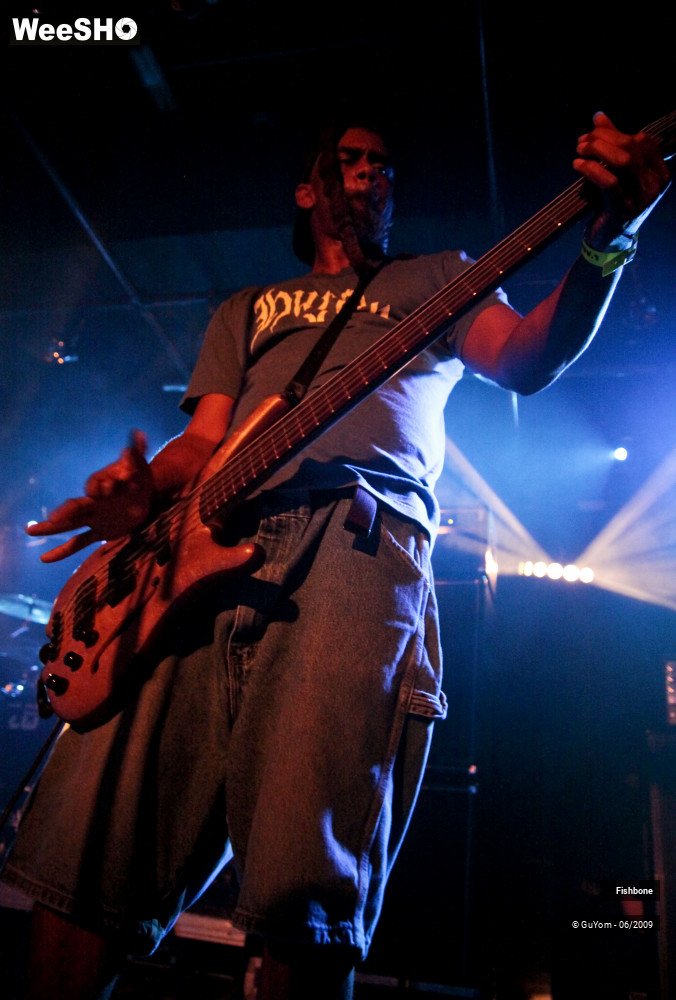 19/50 photos du spectacle Fishbone