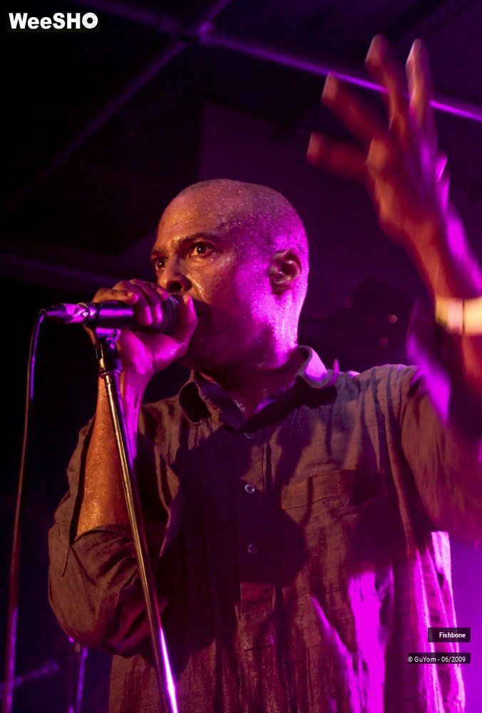 20/50 photos du spectacle Fishbone