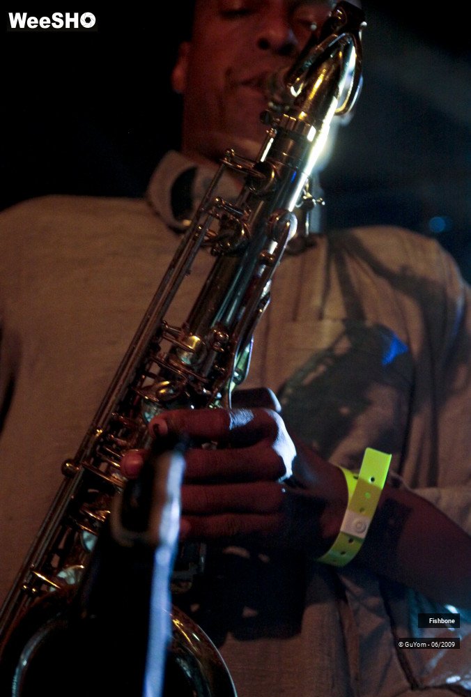 21/50 photos du spectacle Fishbone