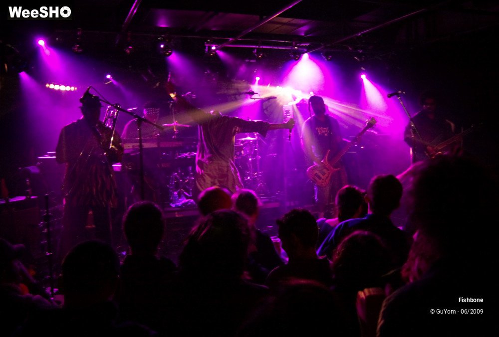 24/50 photos du spectacle Fishbone