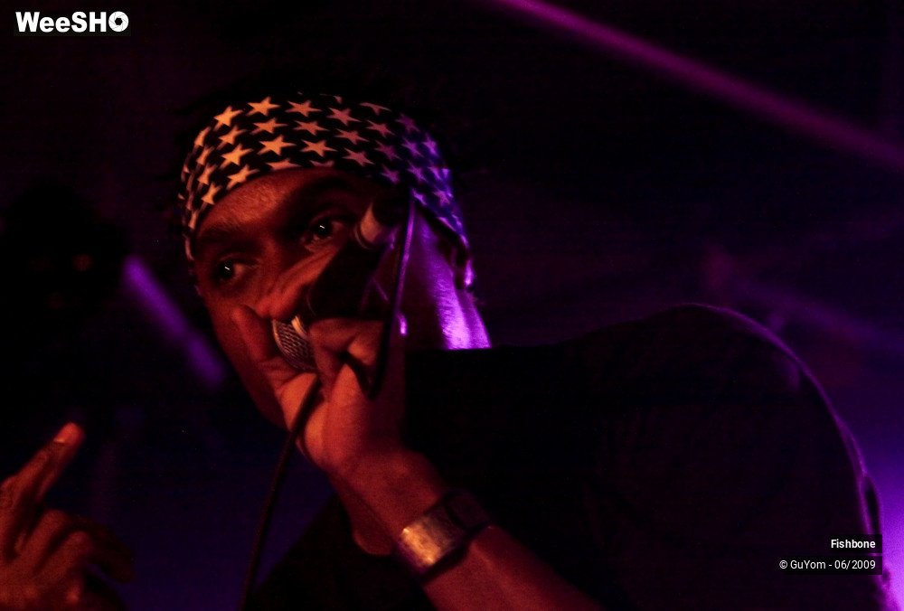 25/50 photos du spectacle Fishbone