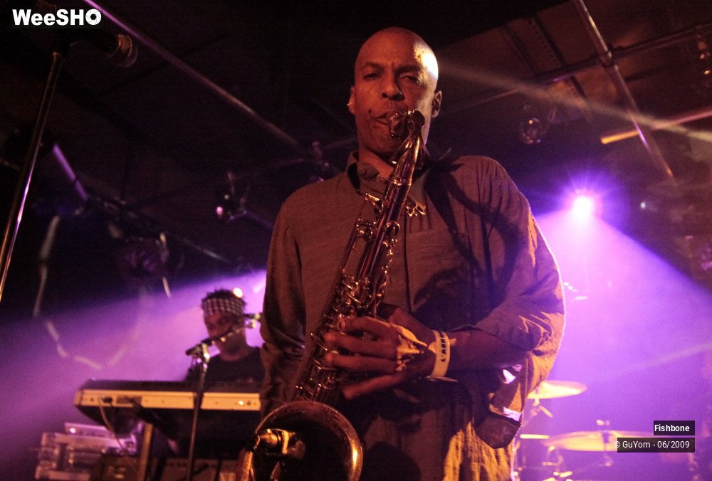 26/50 photos du spectacle Fishbone