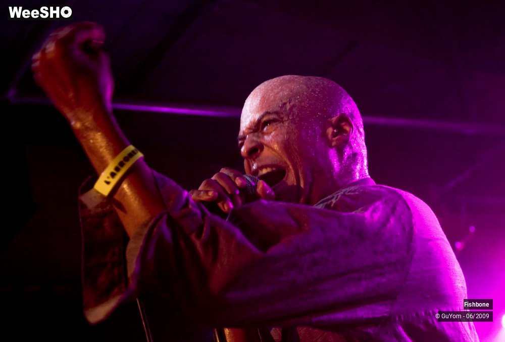 28/50 photos du spectacle Fishbone
