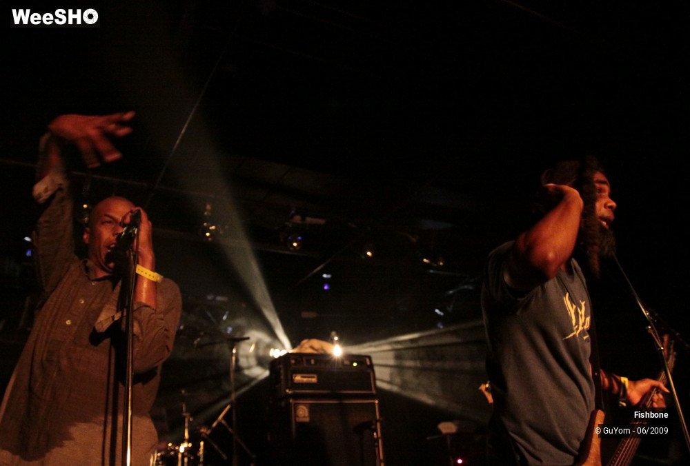 30/50 photos du spectacle Fishbone