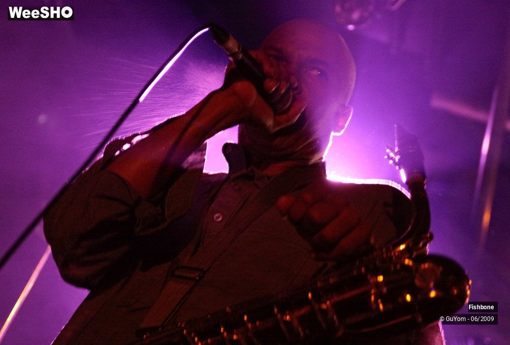 33/50 photos du spectacle Fishbone