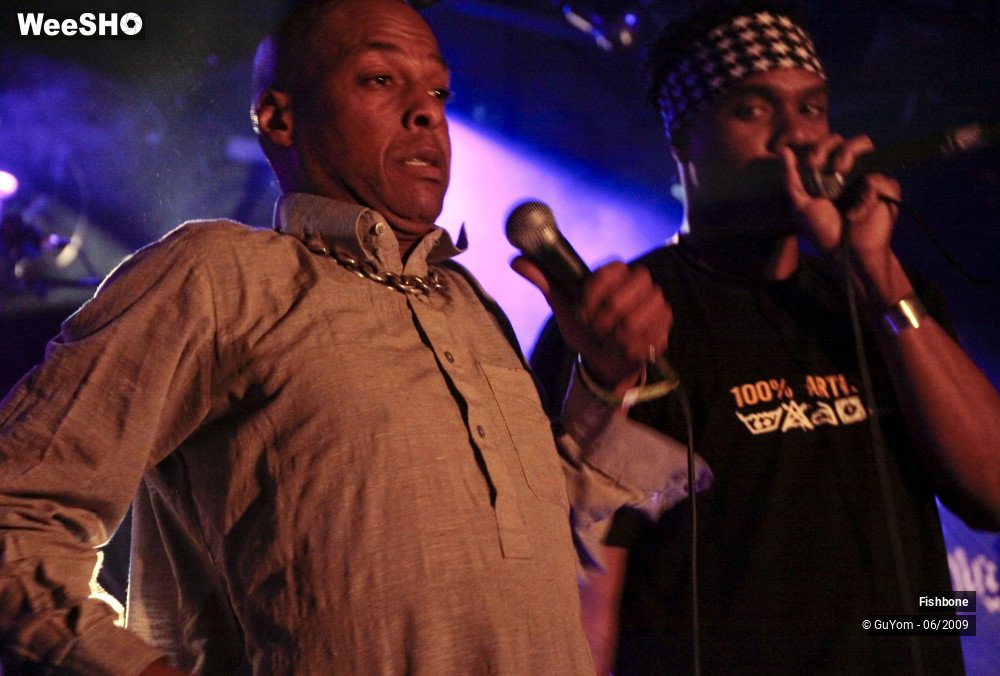 34/50 photos du spectacle Fishbone