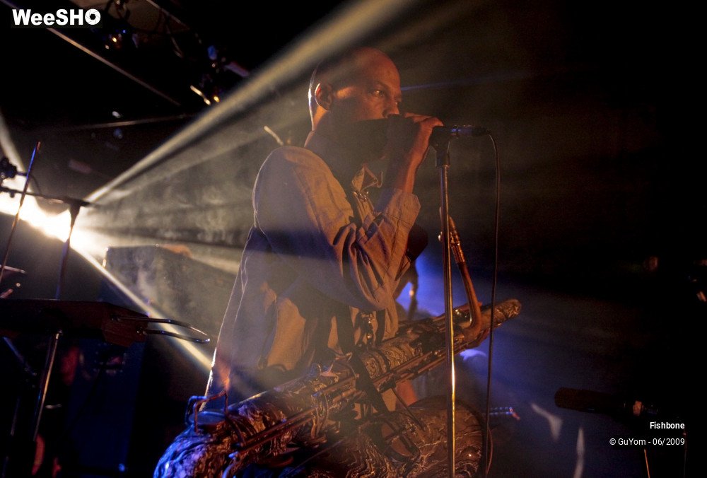 35/50 photos du spectacle Fishbone