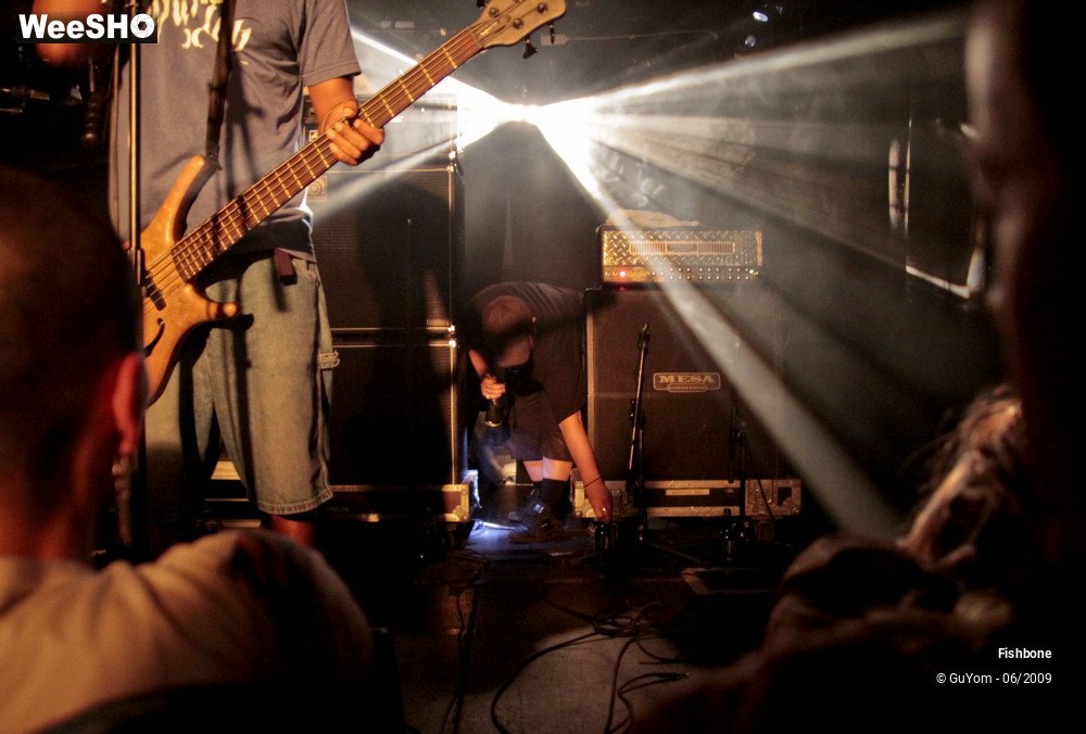 36/50 photos du spectacle Fishbone