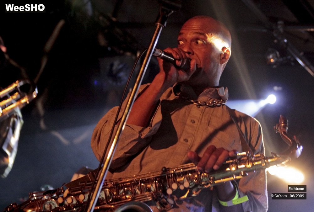 38/50 photos du spectacle Fishbone