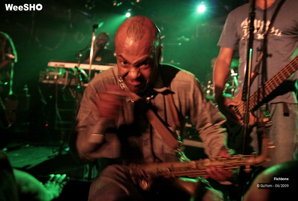 42/50 photos du spectacle Fishbone