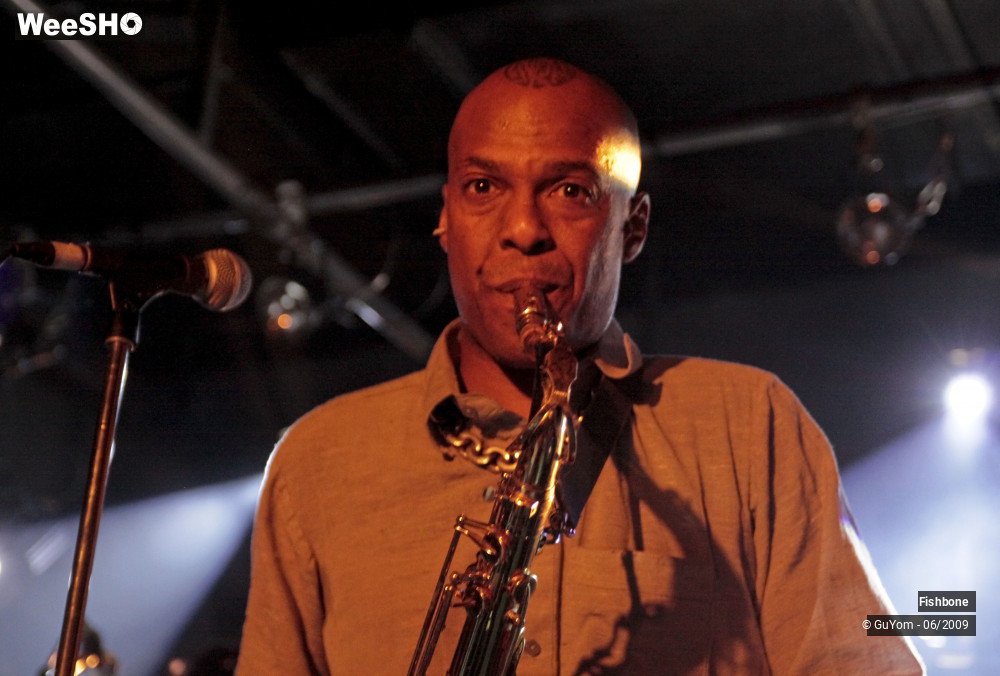 44/50 photos du spectacle Fishbone