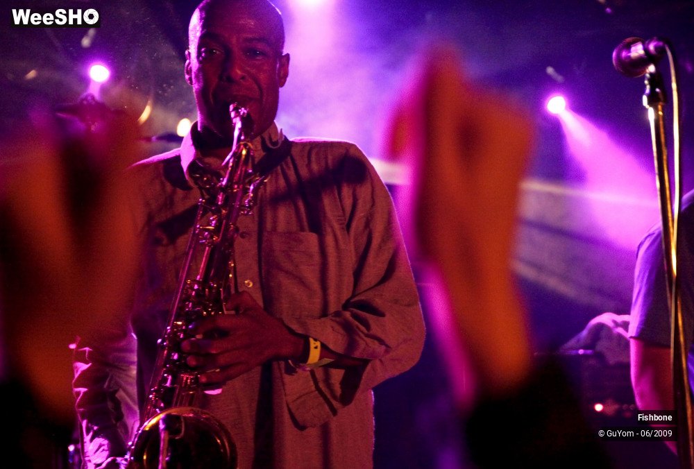 45/50 photos du spectacle Fishbone