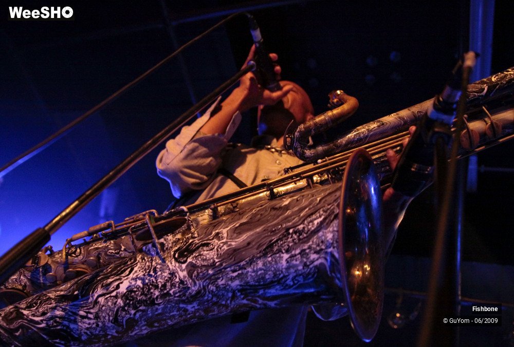 49/50 photos du spectacle Fishbone