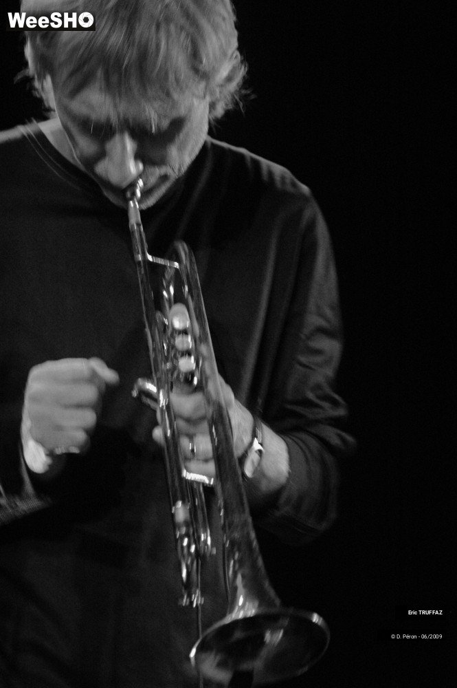 12/37 photos du spectacle E. TRUFFAZ & S. JOHNSON