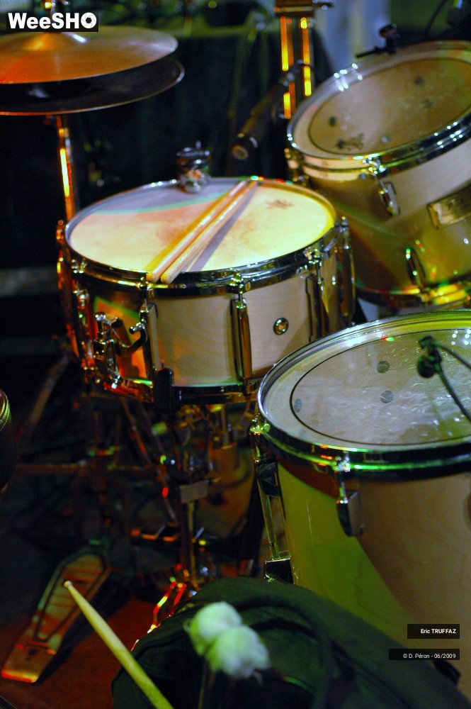 15/37 photos du spectacle E. TRUFFAZ & S. JOHNSON